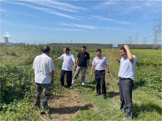 潘集区财政局调研平圩镇林场村乡村振兴与脱贫攻坚衔接工作_淮南市